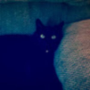 Meet your Posher, Collin